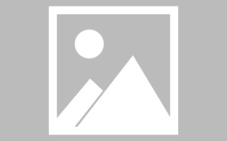 黄骅新区景区网站建设（in art criticism,you must assume）